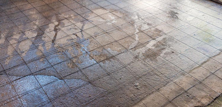 媒體報道多個電商平臺有售「造假消毒液」，用「甲醇冒充酒精」售賣，甲醇對人體的危害有多大 如何辨別 ?寵物醫(yī)院用什么消毒液? 健明迪檢測