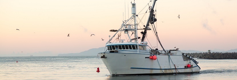 船舶設(shè)備碰撞試驗(yàn)