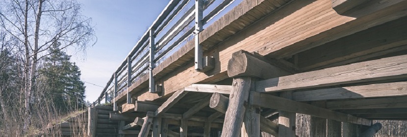 建筑木塑復合材料防霉試驗