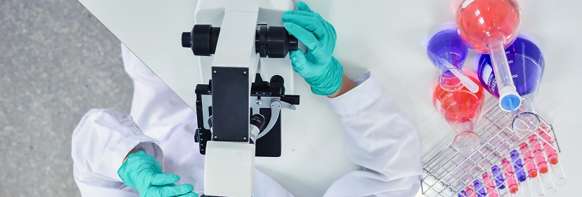 聚丙烯微孔發(fā)泡片板材檢測